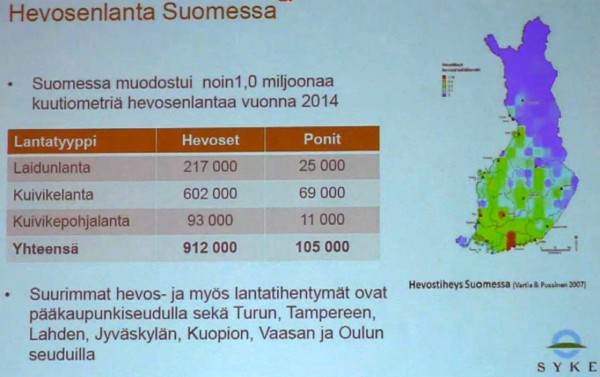 hevosenlantasuomessa