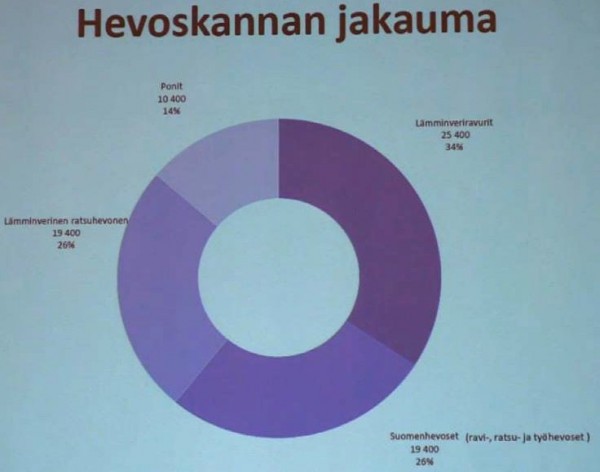 hevoskannan jakauma Suomessa