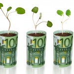 sapling growing from euro