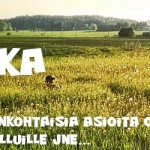 tausta_kesa